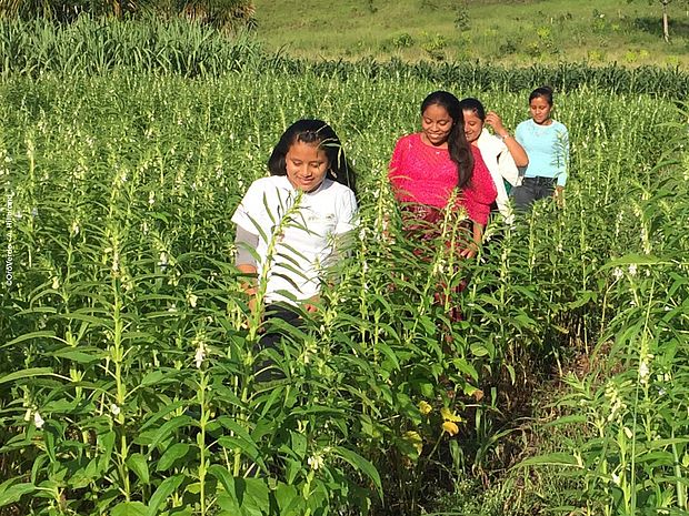 Youth project in Guatemala ©OroVerde – A.Hillbrand