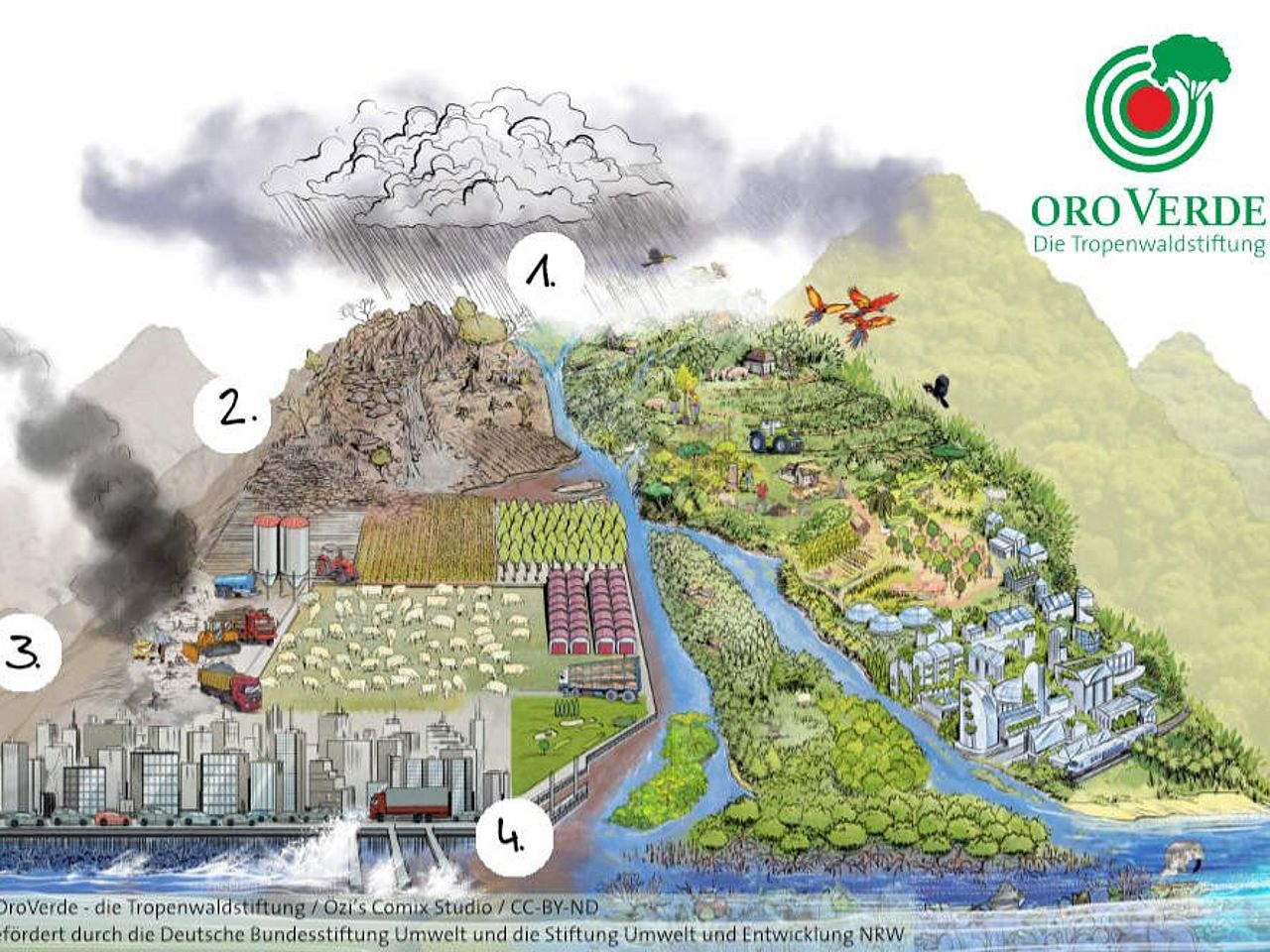 Ecosystem-based adaptations explained in a simple way in an appealing graphic and illustration. The many small adaptations to climate change lead to a livable future vision, where ecosystem services are preserved.