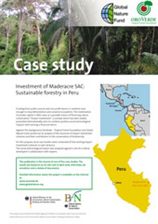 Impact-Investment: Case study 2