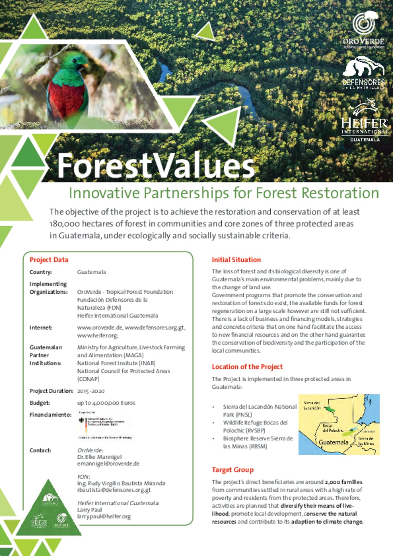 Forest Values: Initual Situation