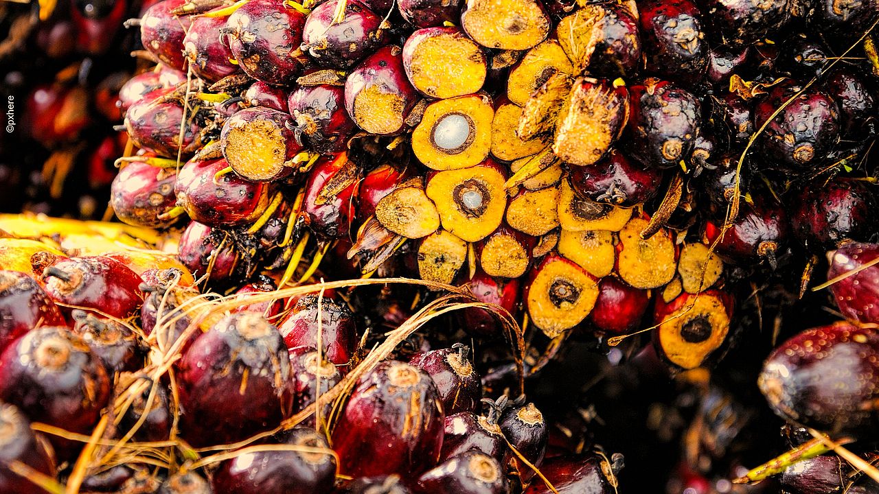 High demand for oil palm fruit ©Pxhere