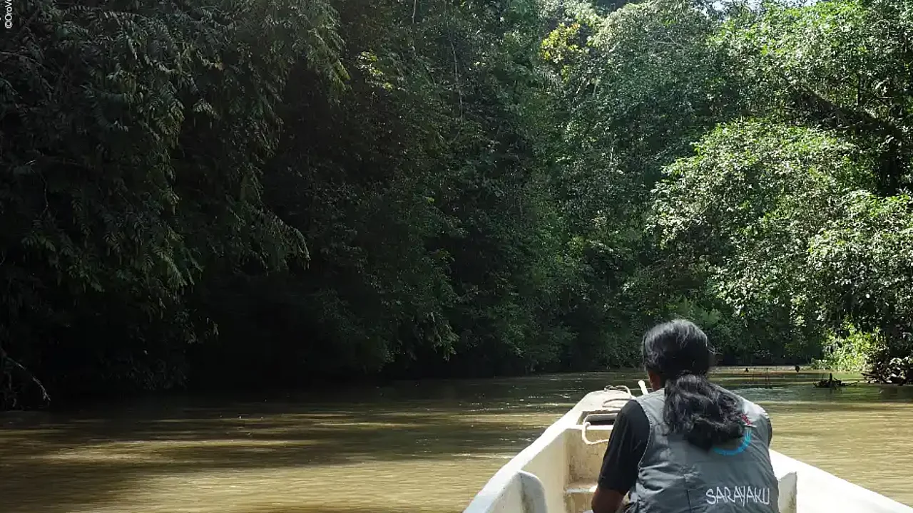 The territories of many indigenous peoples lie in regions with relatively well-conserved landscapes and ecosystems, like rainforests or the arctic.