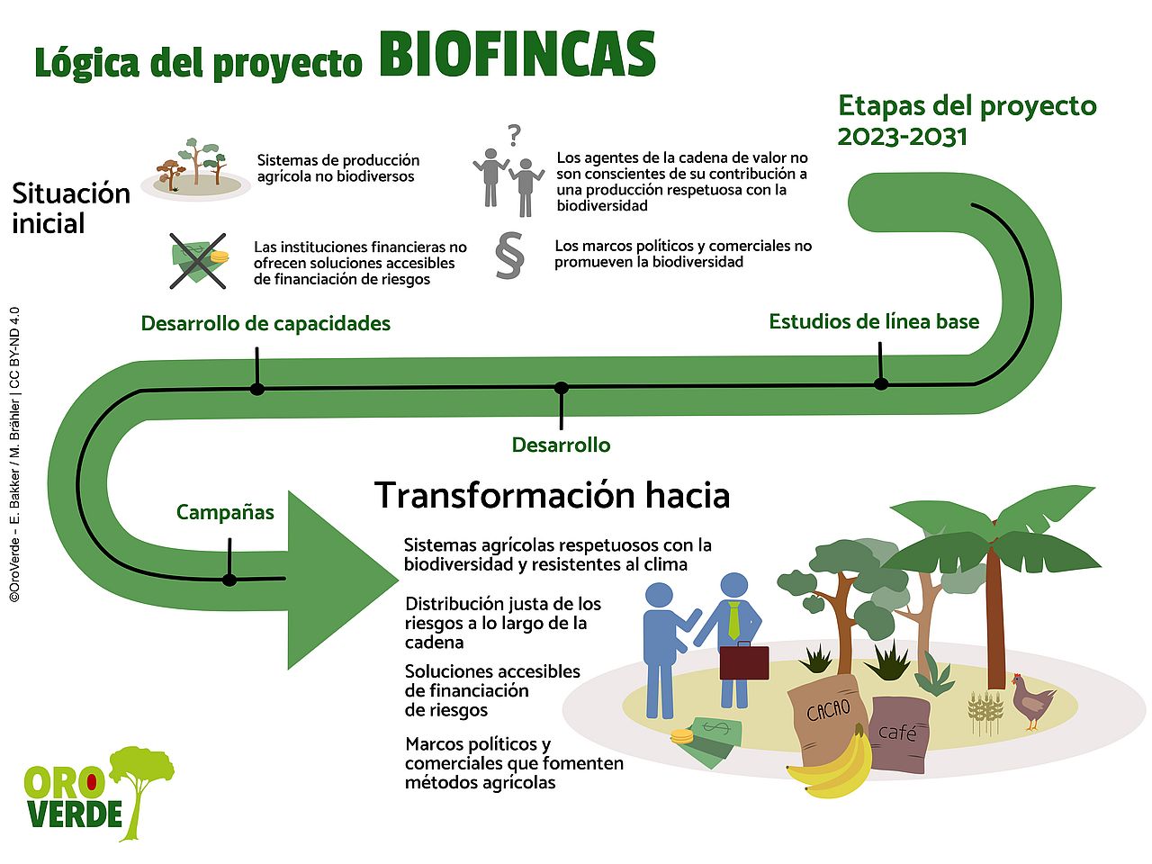 Infografía BIOFINCAS que explica la lógica del proyecto, ©OroVerde - E. Bakker / M. Brähler | CC BY-ND 4.0