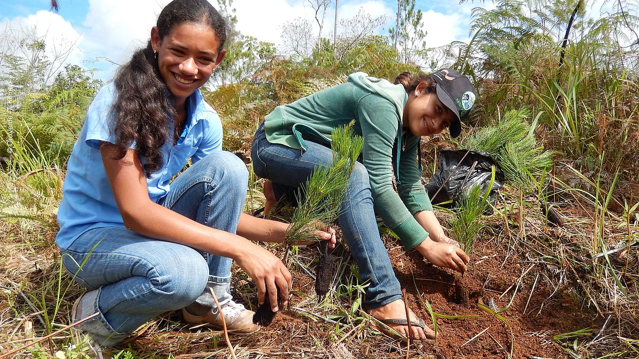 Planting trees is a method of ecosystem-based adaptation ©T. Klimpel