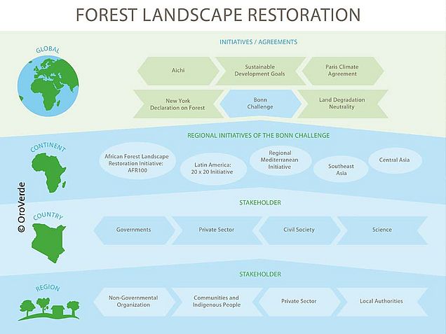 Forest Landscape Restoration Layer Model ©OroVerde