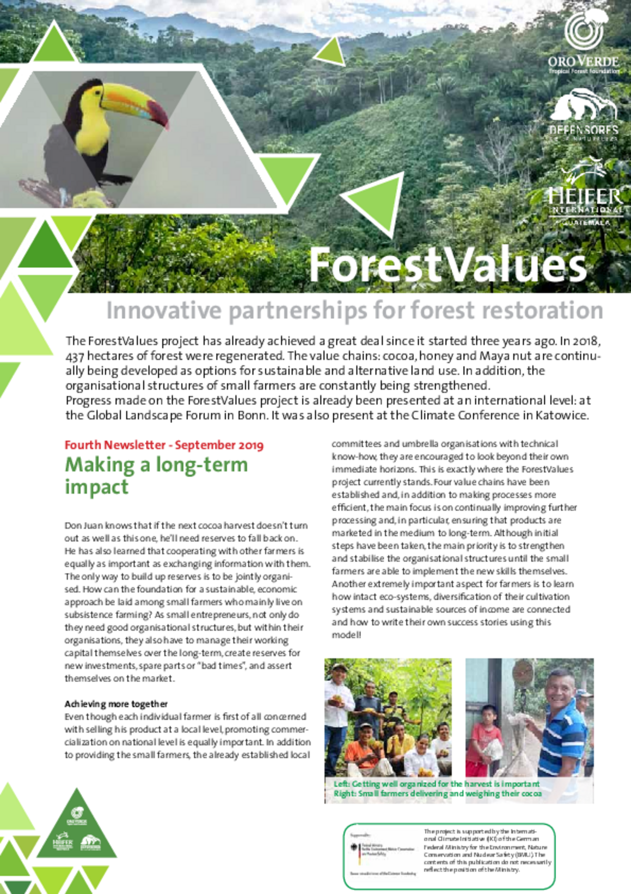 Forest Values: Fourth Newsletter