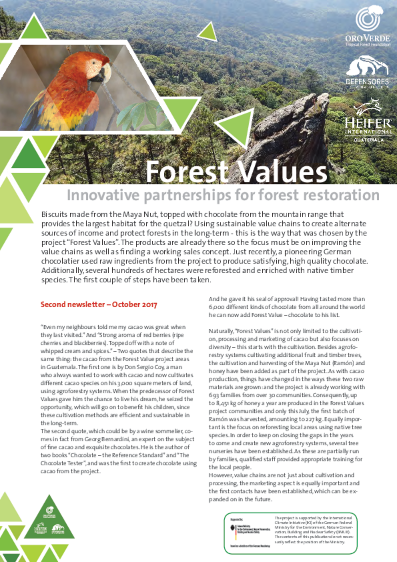 Forest Values: Second Newsletter
