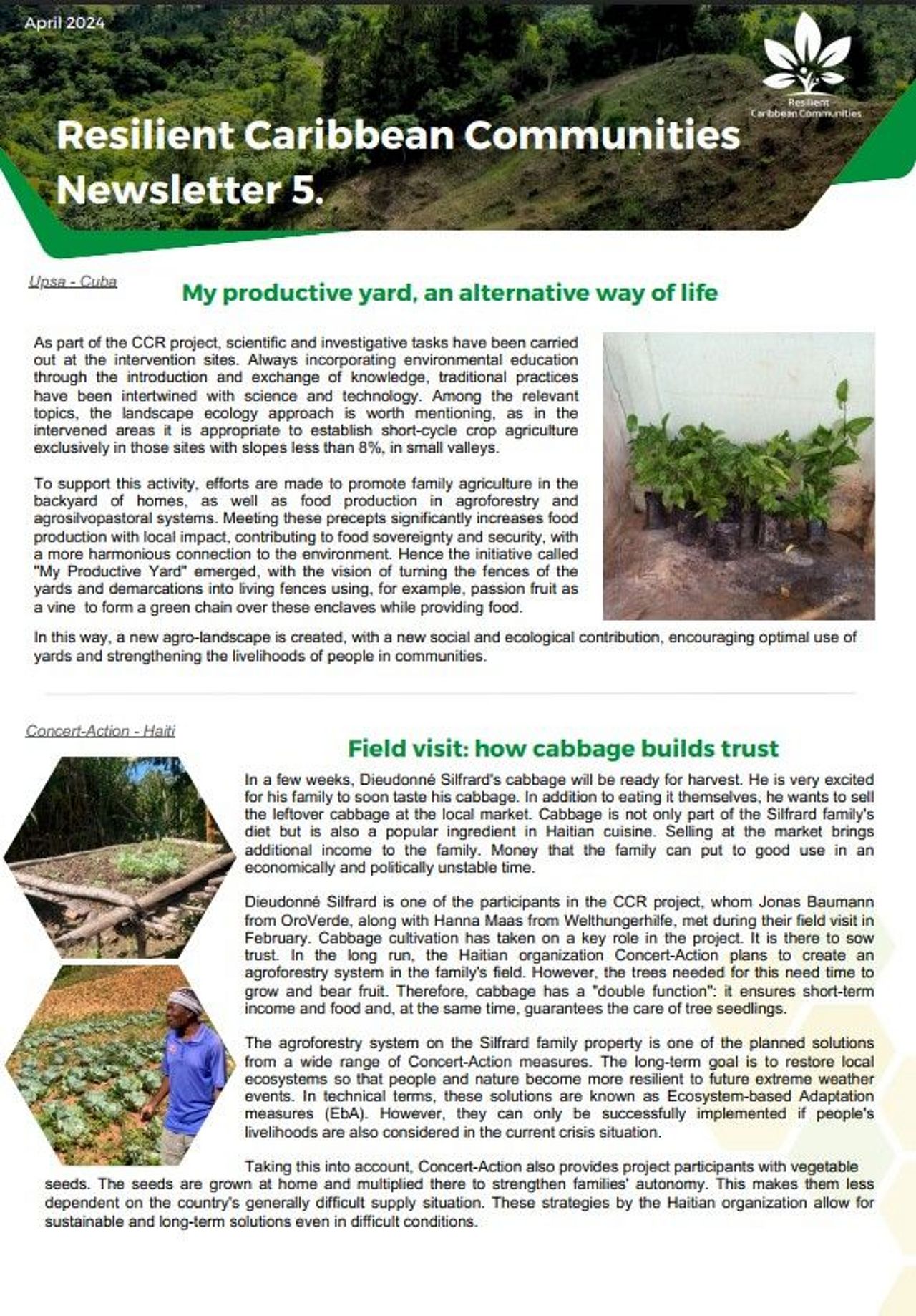 Resilient Caribbean Communities | Newsletter No. 5