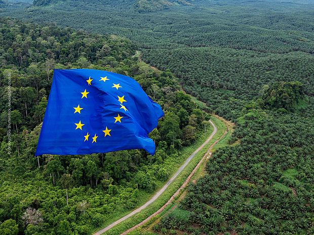 European flag flies in tropical forest ©iStock/cnOra Shutterstock: AlexandrosMichailidis