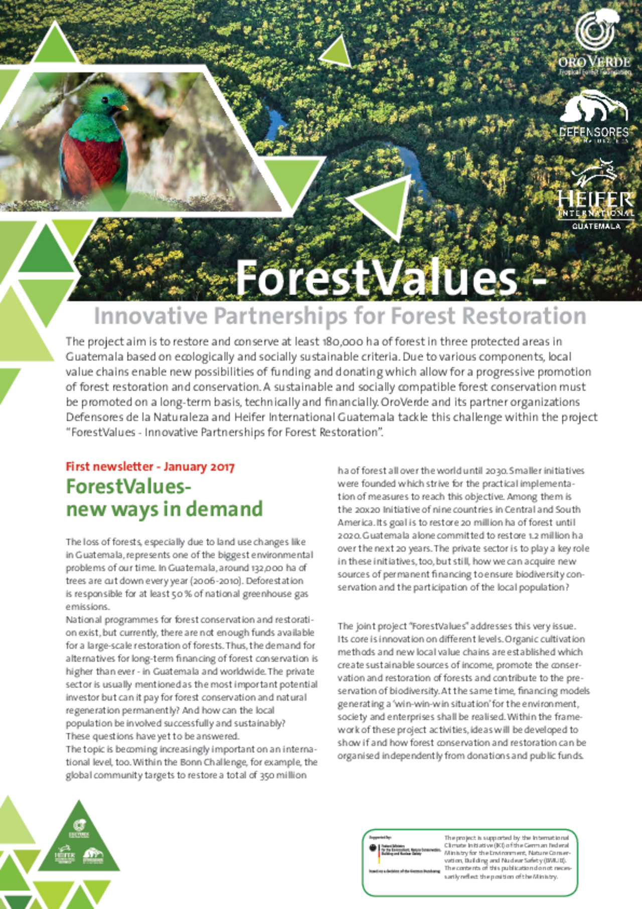 Forest Values: First Newsletter