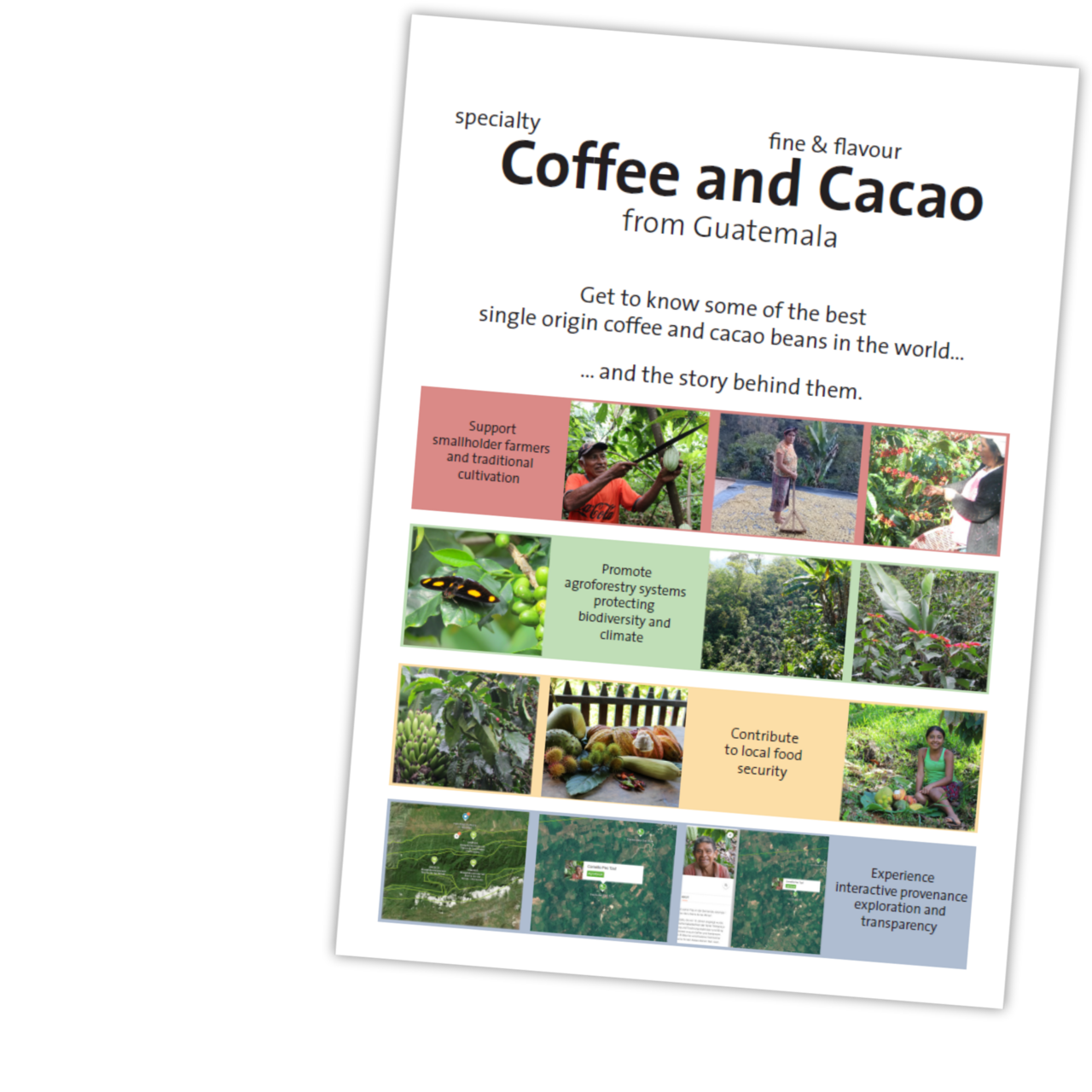 Broschure: Coffee and Cacao from Guatemala: Get to know some of the best single origin coffee and cacao beans in the world and the story behind them.