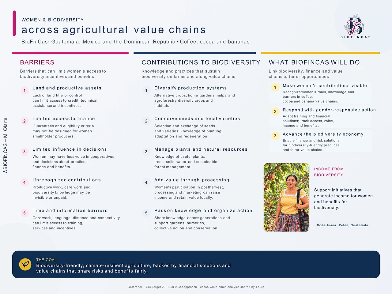 Infographic showing barriers and contributions of as well as opportunities for women to support biodiversity across agricultural value chains.