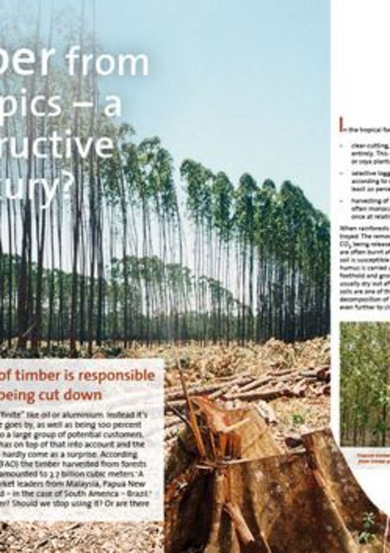 Policy Paper "Timber from the Tropics - A destructive luxury?" - Factsheet by OroVerde 