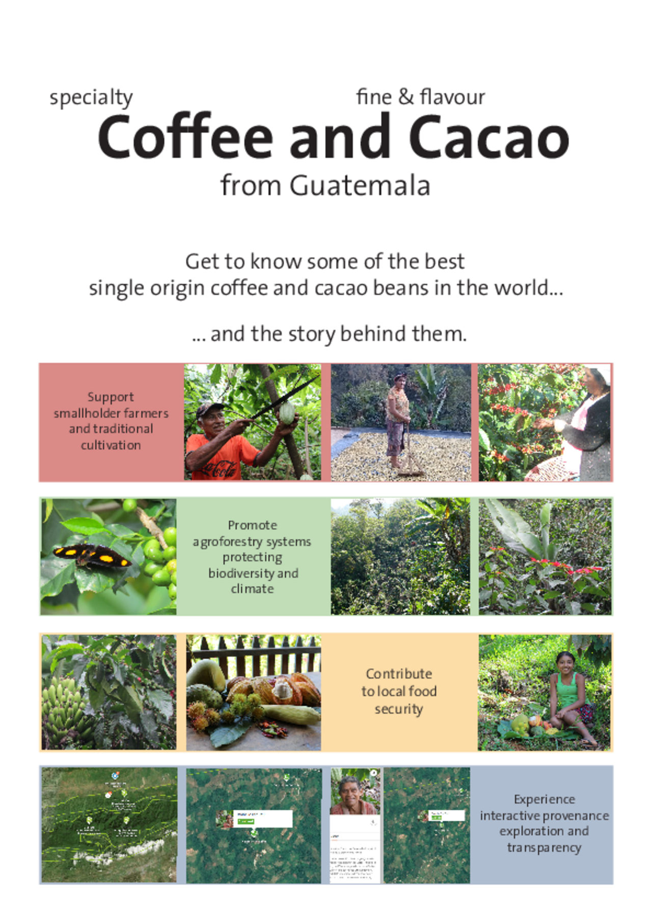 factsheet Coffee & Cacao from Guatemala