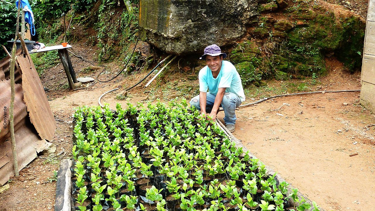 Man squatting proudly in a tree nursery ©OroVerde