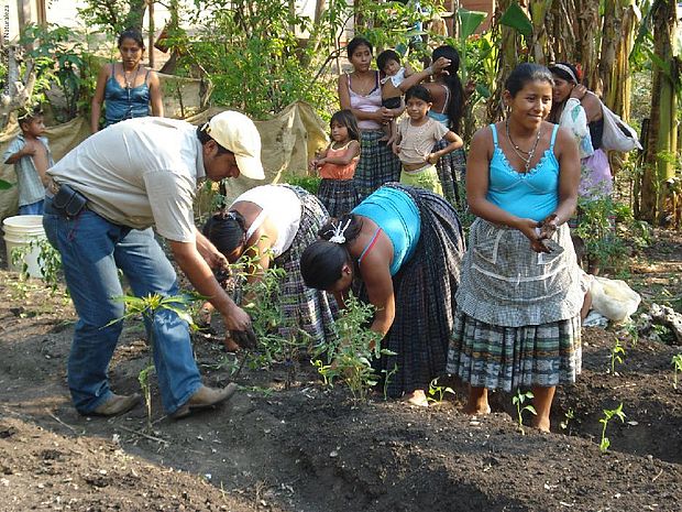 People cultivate a garden ©Defensores de la Naturaleza