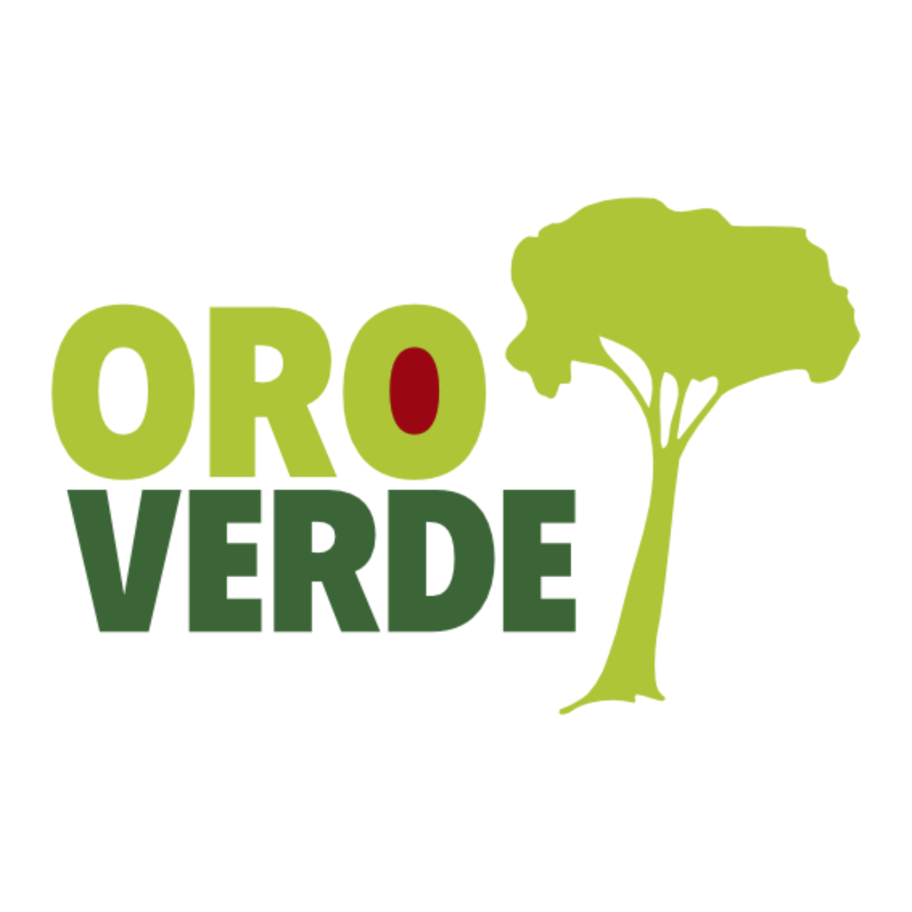 Oroverde Focuses On Conserving Tropical Forests And Human Livelihoods